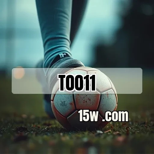 t0011.cc Tiro